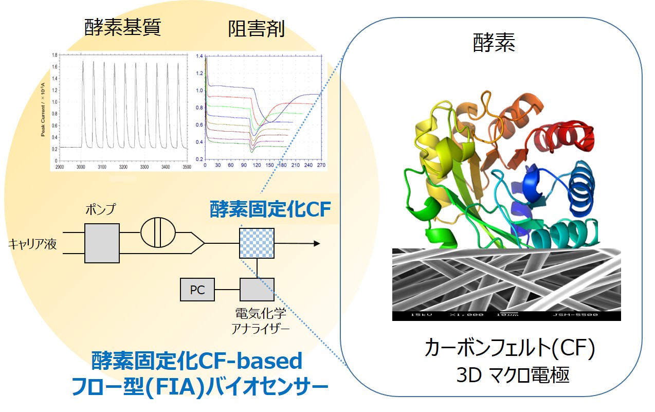 Amazon.co.jp: 初歩からのバイオ実験 : ゲノムからプロテオーム
